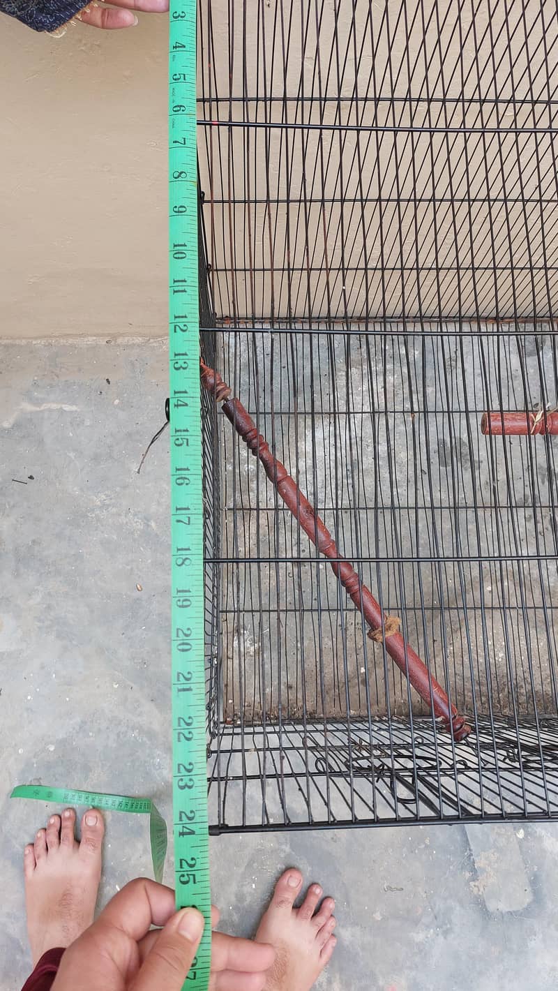 Colony Cage Master 5