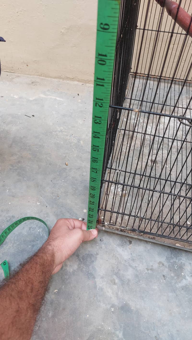 Colony Cage Master 6