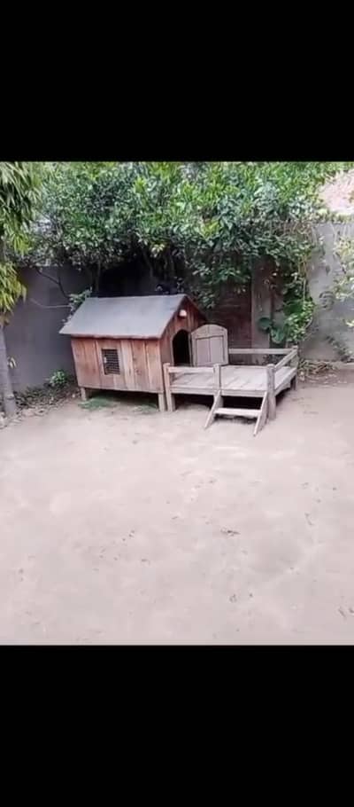 dog house in wood