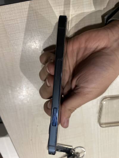 12 pro Pta approved 10/10