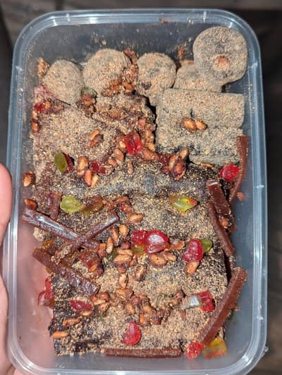 sidzee lavashak worlds