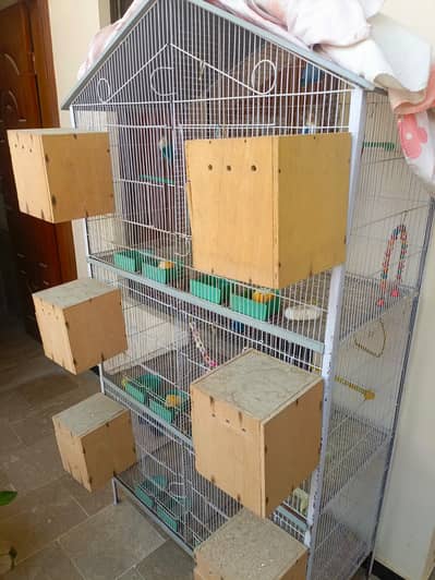CAGE FOR BIRDS