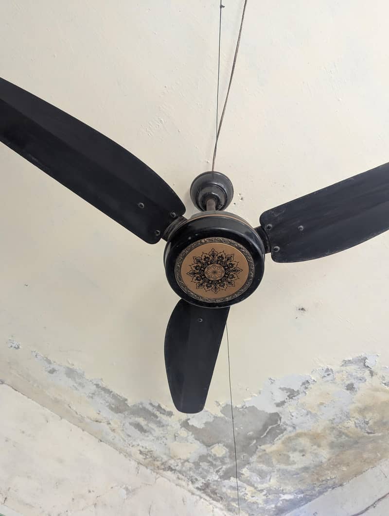 خوبصورت ڈیزائن والا مضبوط چھت کا پنکھا – برائے فروخت تین پنکھے ہیں 1