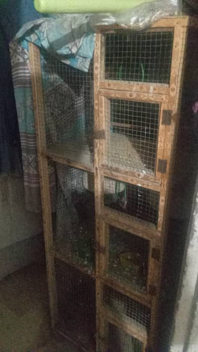 I want to sale 4 layer cage wd pair of birds