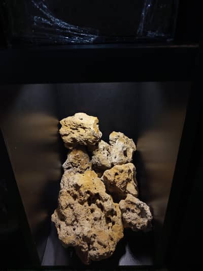 all aquarium Rocks