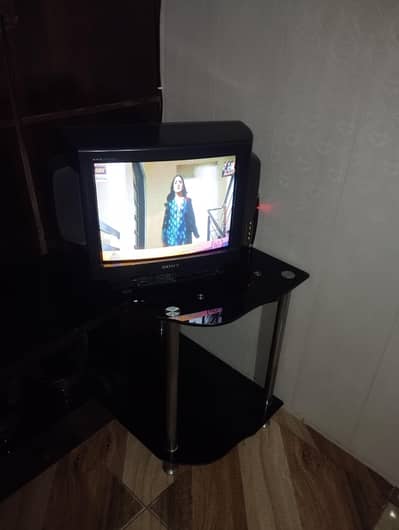 Vintage Sony Trinitron CRT Television 21 inchesWith GADMEI Chanel Box