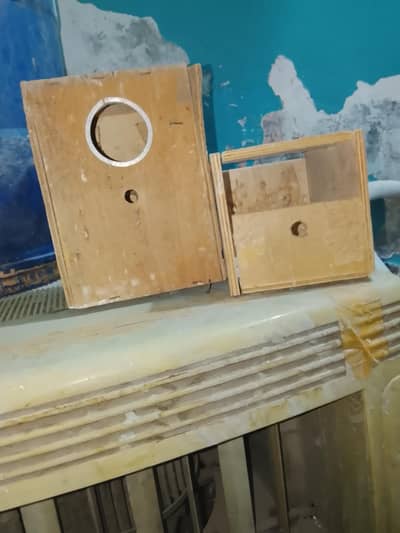 finches box for sale total. 131 per box 200