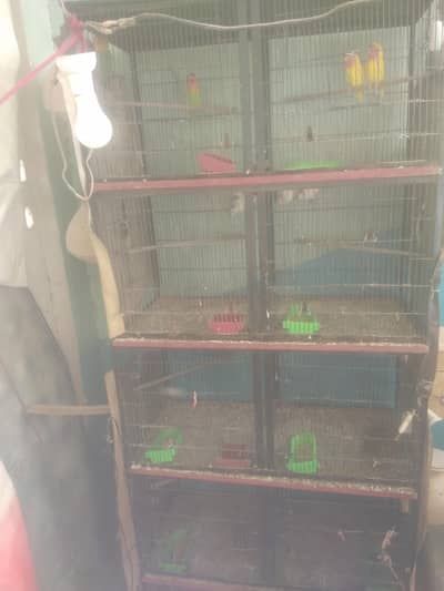 all setup in reasonable price