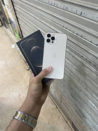 i phone 12 pro max 256 pta