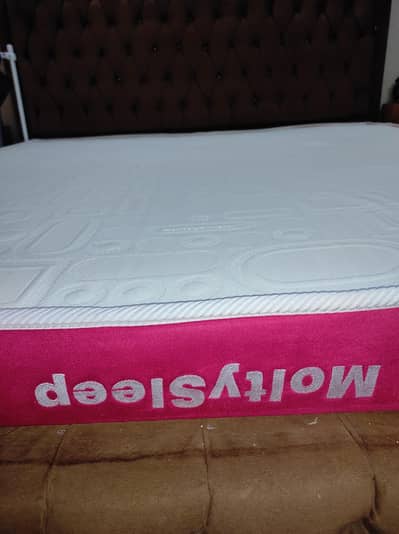 Master Molty foam - Molty Sleep 2 in 1 for Sale