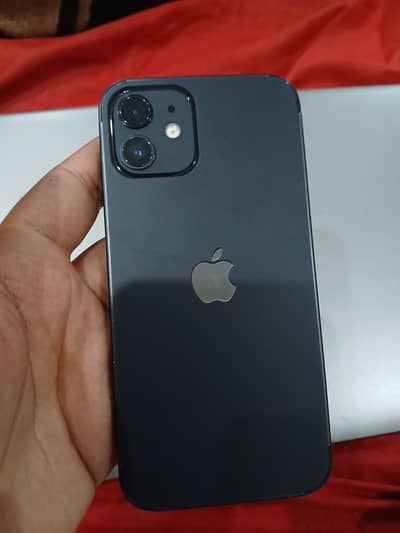Apple iPhone 12