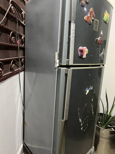 arefrigerator for sale
