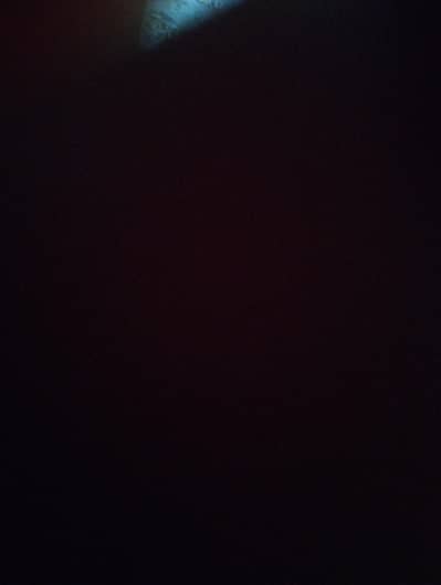 looking for carpool service