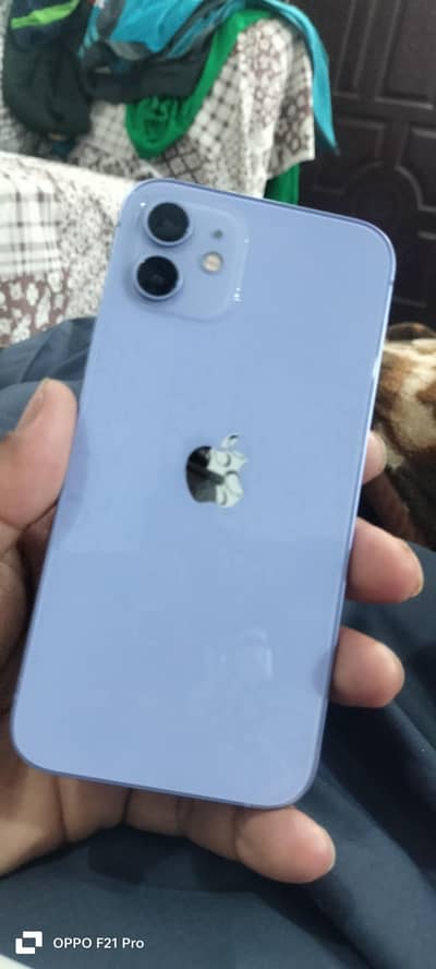 i phone 12 pta approved