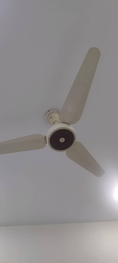 Ceiling Fan For Sale