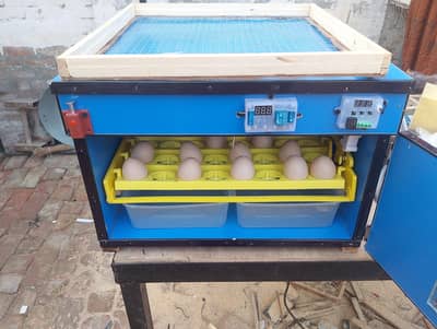56 eggs automatic incubator