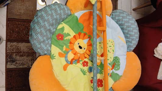 Play gym/play mat