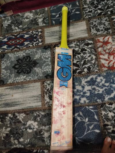 Hardball bat
