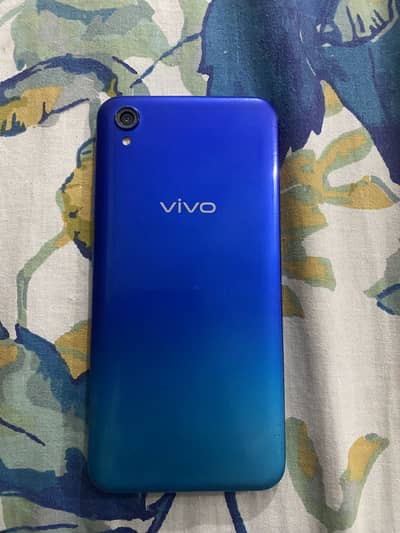 Vivo