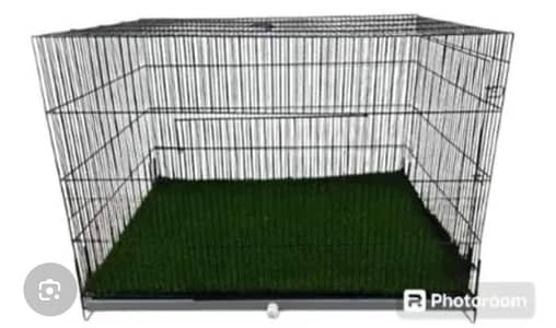 Cage, cats, and bird