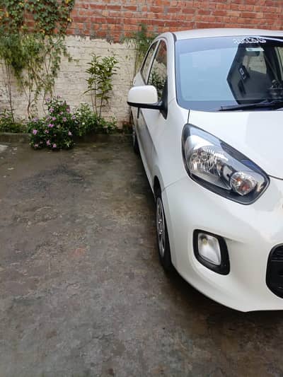 kia picanto