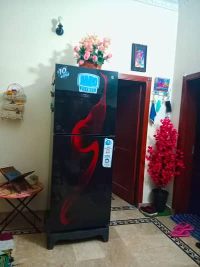 pel jumbo refrigerator condition like new