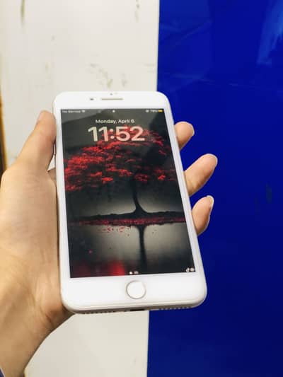 256 GB all parts original battery change