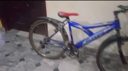 used cycle sale