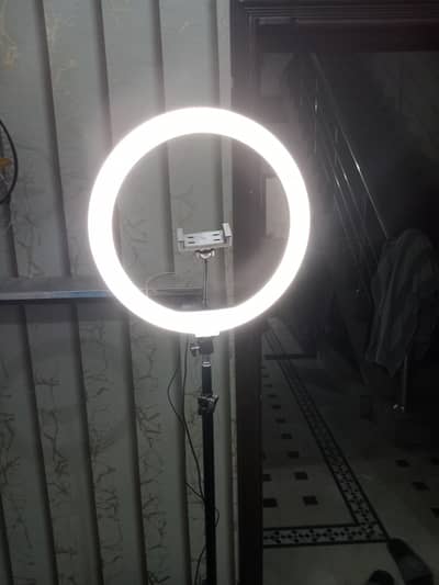 a one ring light 3 colour wali and 7 feet big stand av