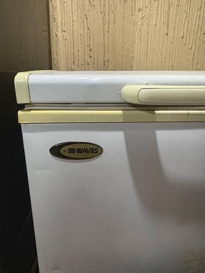 Waves Single Door Deepfreezer