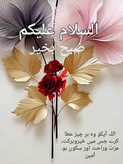 I need job office boy urgent