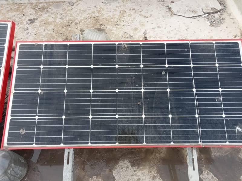 Soler plents. . . . pakg main ab 0