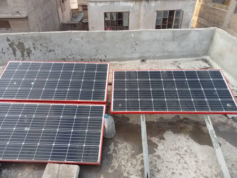 Soler plents. . . . pakg main ab 1