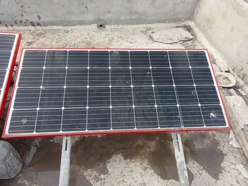 Soler plents. . . . pakg main ab 2