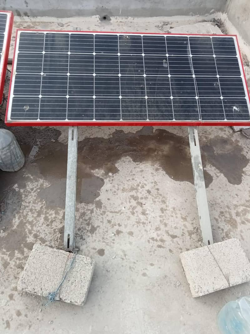 Soler plents. . . . pakg main ab 3