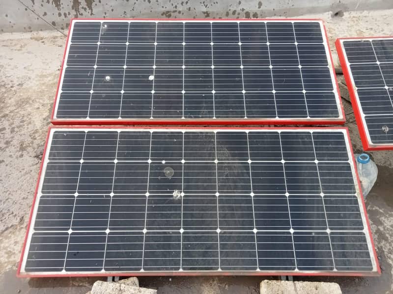 Soler plents. . . . pakg main ab 5