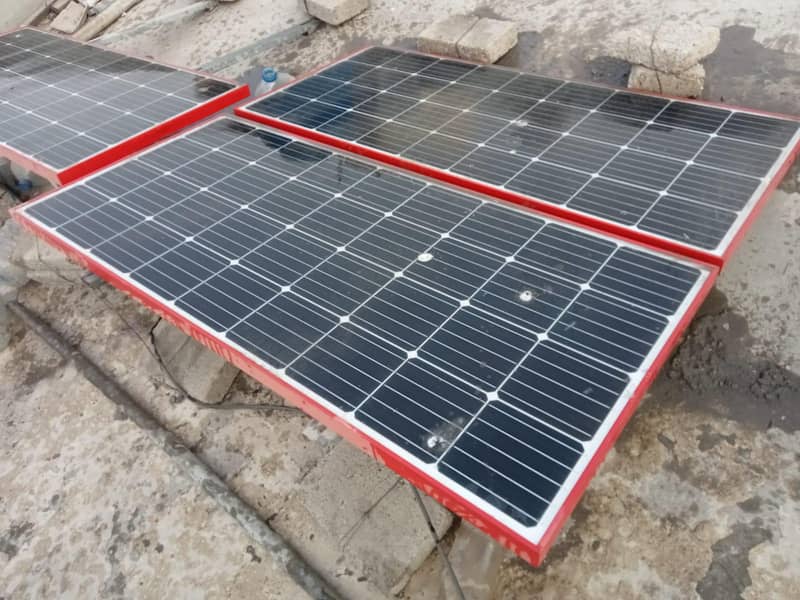 Soler plents. . . . pakg main ab 6