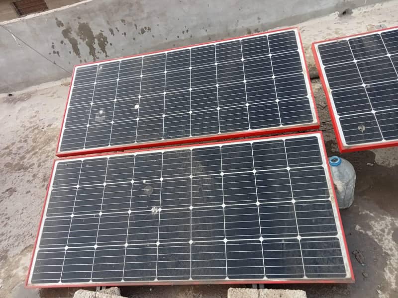 Soler plents. . . . pakg main ab 7