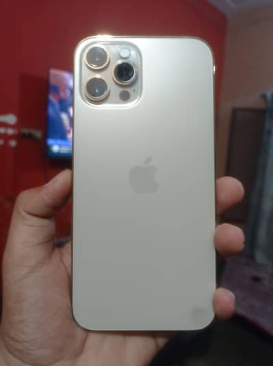 Buy iphone 12 pro max Golden Hk dual sim