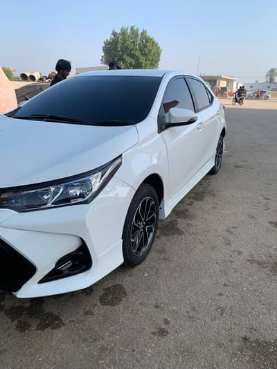 grande white with black 2024 b2b ganiun screach less dot less low