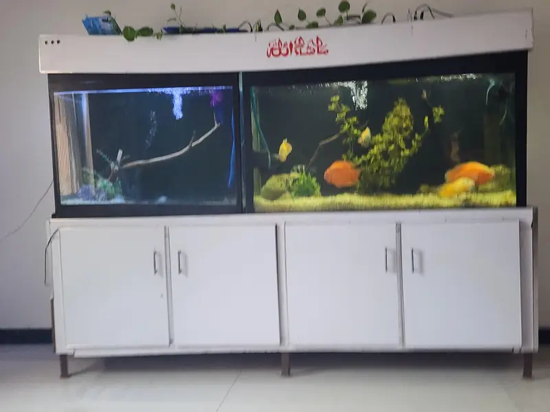 Aquarium