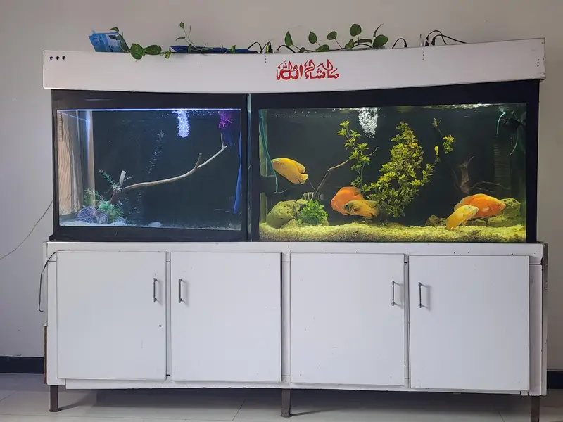 Aquarium — photo 2