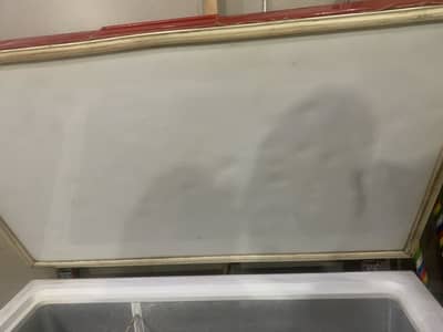 Waves freezer for sale