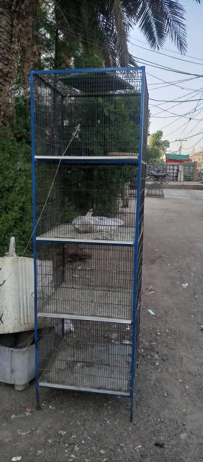 fresh Cage New Trays