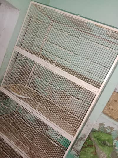 parrot cage for sale