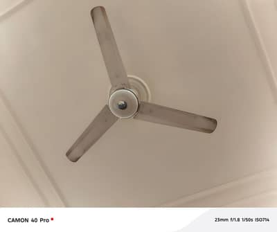 Fan Pakfan