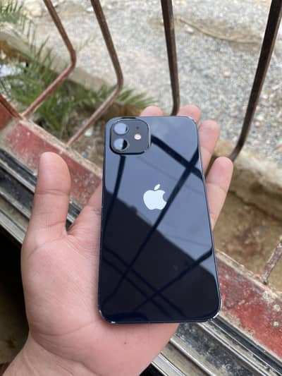 Iphone 12 official approved