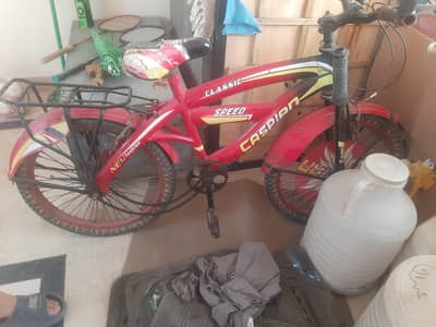 cycle for 8 to 12 years