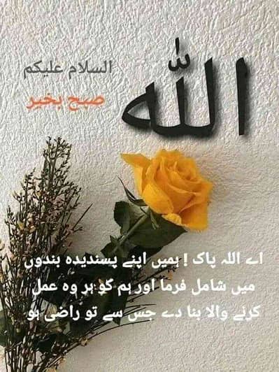 Abdul Rasheed