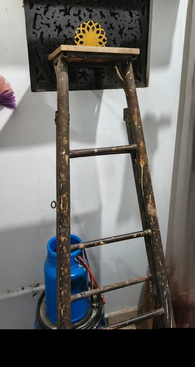 6 Feet Iron Ladder